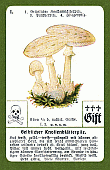 Spielkarte
