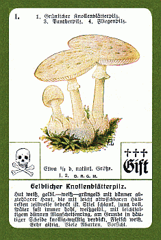 Spielkarte