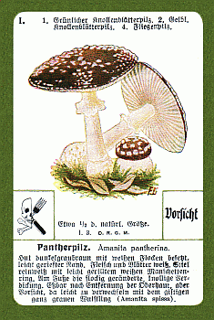 Spielkarte
