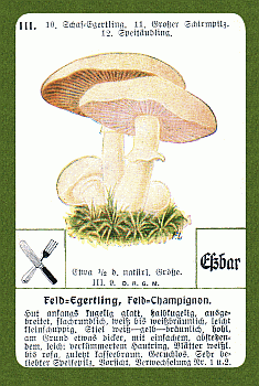 Spielkarte