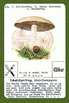 Spielkarte