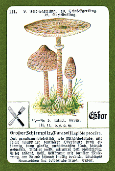 Spielkarte