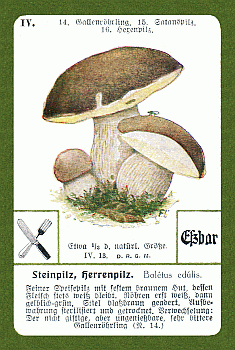 Spielkarte