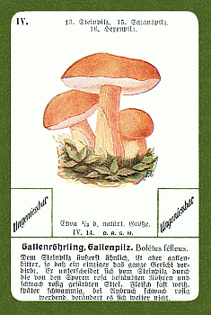 Spielkarte