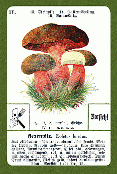Spielkarte