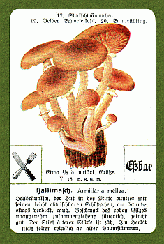 Spielkarte