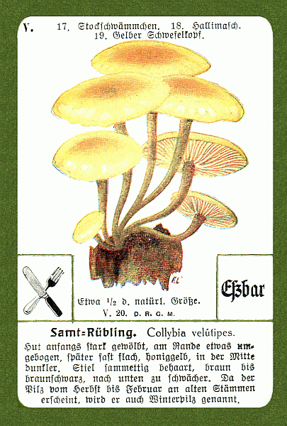 Spielkarte