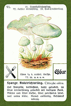 Spielkarte