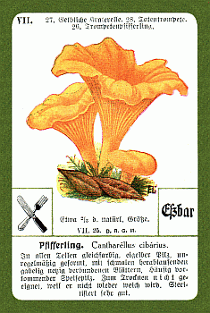 Spielkarte