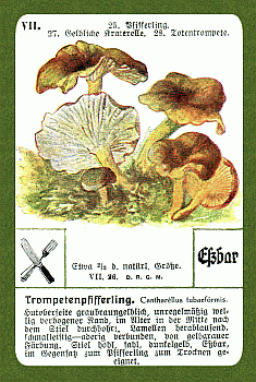 Spielkarte