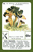 Spielkarte