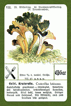 Spielkarte
