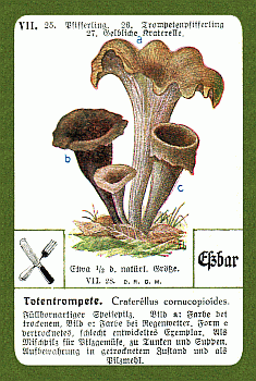Spielkarte