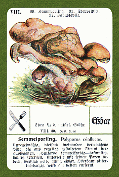 Spielkarte
