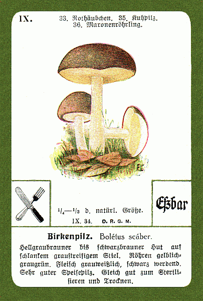 Spielkarte