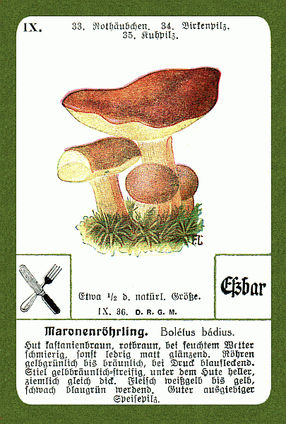 Spielkarte