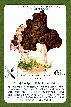Spielkarte
