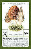 Spielkarte