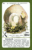 Spielkarte