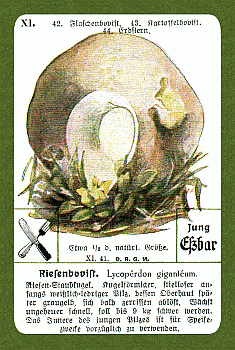 Spielkarte