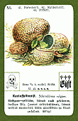 Spielkarte