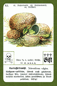 Spielkarte