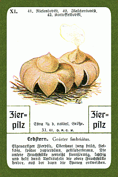 Spielkarte