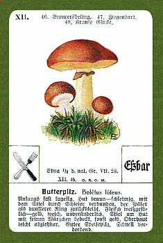 Spielkarte