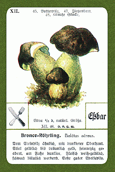 Spielkarte