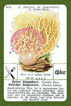 Spielkarte