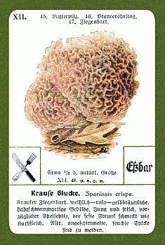 Spielkarte