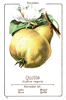Spielkarte