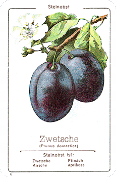 Spielkarte