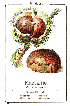 Spielkarte