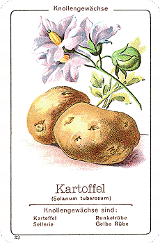 Spielkarte