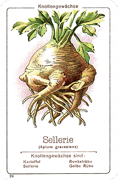 Spielkarte