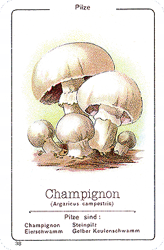 Spielkarte