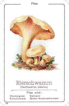 Spielkarte