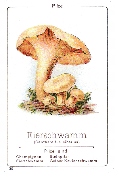 Spielkarte