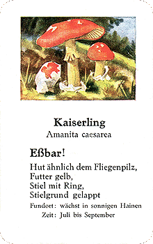 Spielkarte