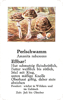 Spielkarte