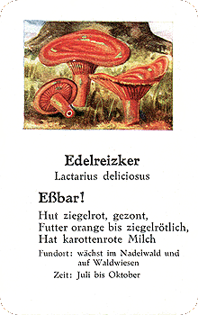 Spielkarte