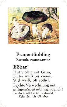 Spielkarte
