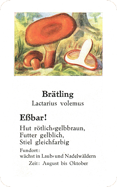 Spielkarte