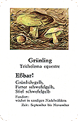Spielkarte
