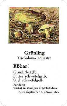 Spielkarte