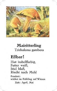 Spielkarte