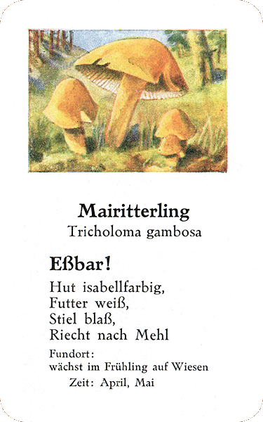 Spielkarte