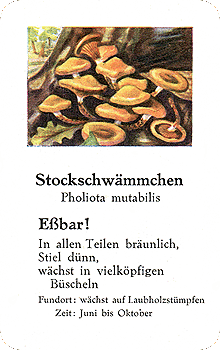 Spielkarte
