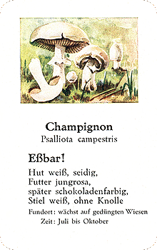 Spielkarte